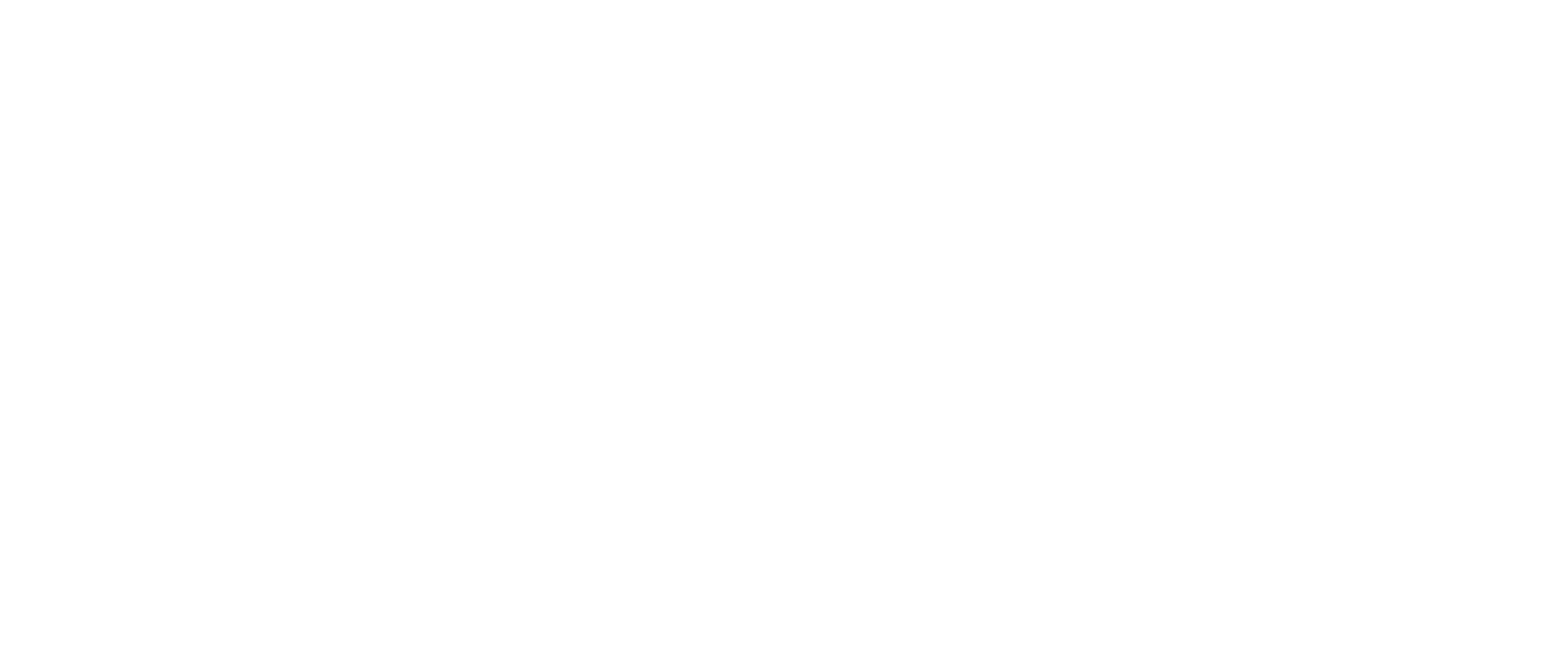 Levis Condos – Logo